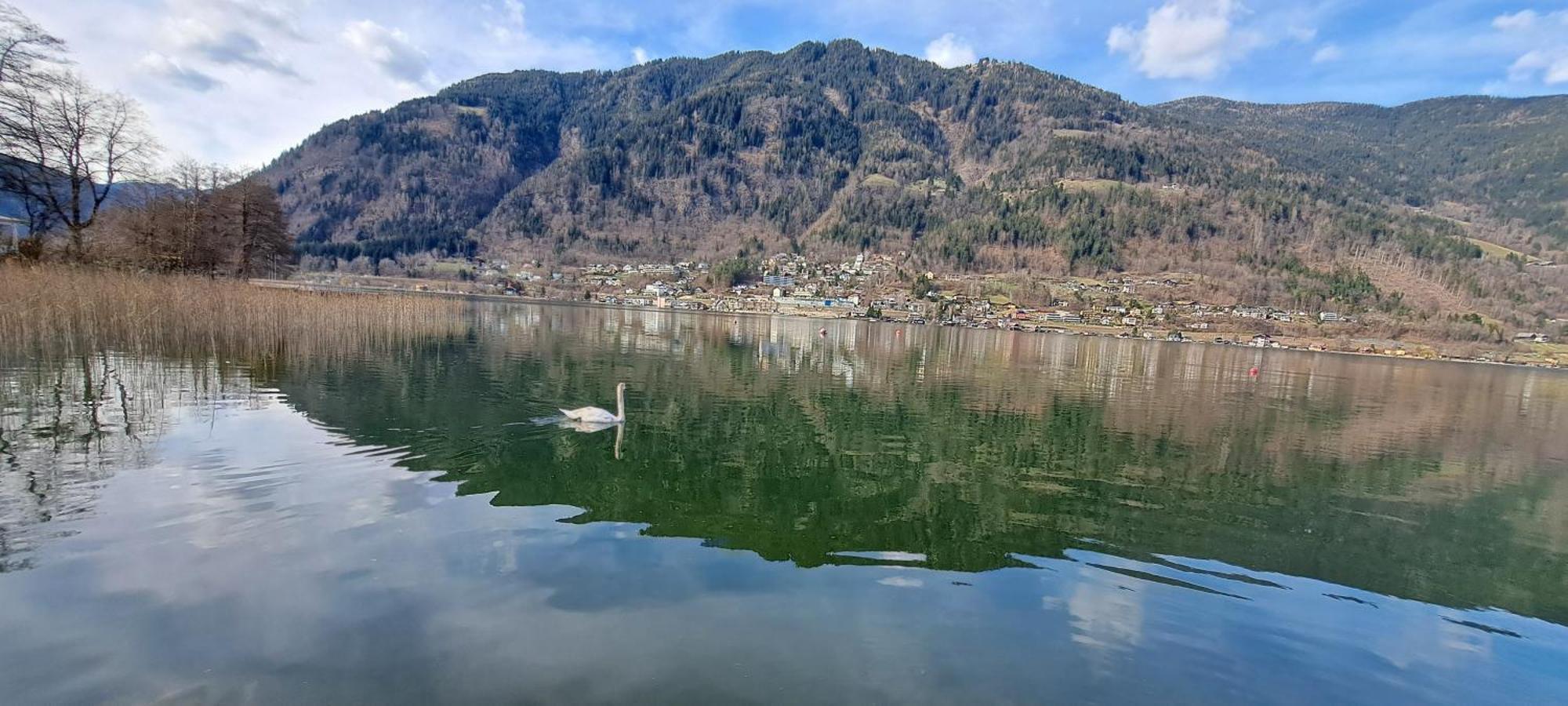 Direkter Seezugang Am Ossiacher See, Radfahren, Wandern & Erlebniscard Филах Екстериор снимка
