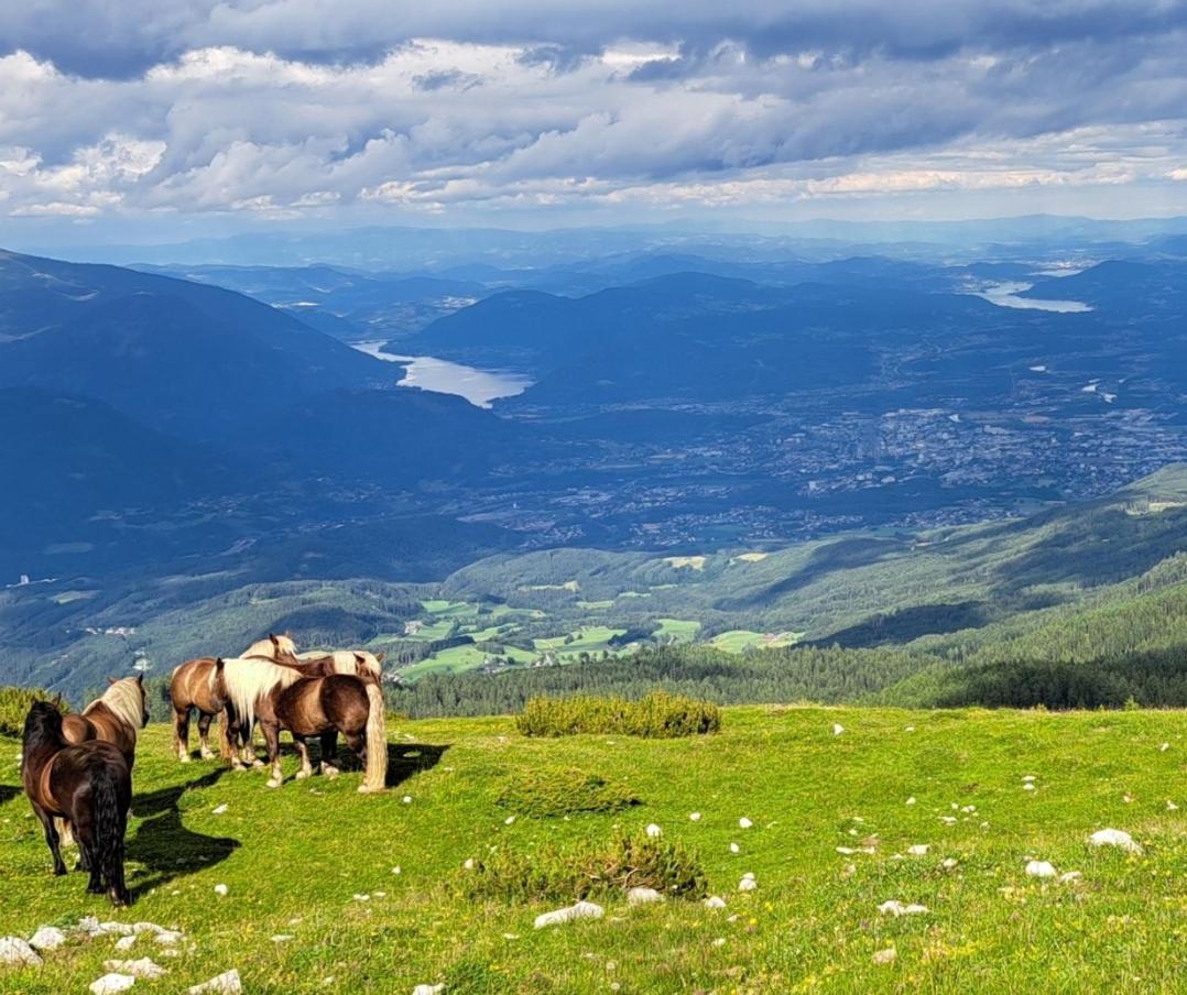 Direkter Seezugang Am Ossiacher See, Radfahren, Wandern & Erlebniscard Филах Екстериор снимка